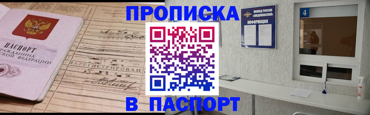 временная регистрация в Невеле